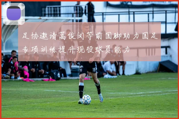 足协邀请蒿俊闵等前国脚助力国足专项训练提升现役球员能力
